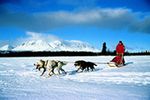 Hunde- und Motorschlittentouren