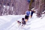 Trapper Trail Tour
