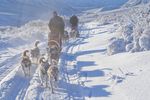 Husky-Abenteuer
