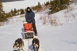 Yukon Hunde- und Motorschlittenabenteuer