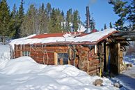 Ausflug Yukon, Alaska: Hundeschlittentour Husky-Wildnis-Abenteuer ab/bis Whitehorse