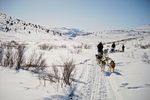 Husky-Wildnis-Abenteuer