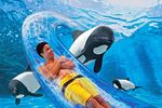 SeaWorld Orlando und Aquatica