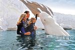 SeaWorld Orlando