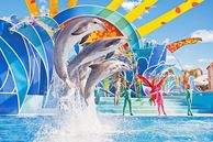 Seaworld Blue Horizons Show