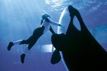 SeaWorld in Orlando