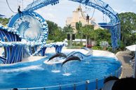 Ausflug USA: Orlando Flexticket - Seaworld