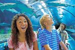 SeaWorld Orlando und Busch Gardens Tampa