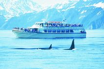 Alaska Nationalparks: Fährenausflug in den Kenai Fjords