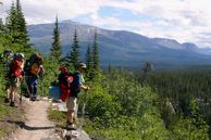 Ausflug Yukon, Alaska: Imposante Ausblicke auf dem Chilkoot Trail