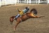 Calgary Rodeo