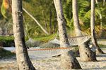 Hängematte auf  Andros Bahamas