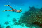 Bahama Divers