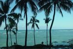 Majestic Grand Circle Island - Oahu