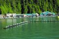 Knight Inlet Lodge