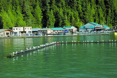 Knight Inlet Lodge