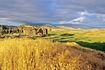 Predator Ridge Resort