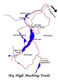 Ausflug Kanada: Hundeschlittentour Sky High Mushing Trails