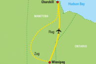 Reiseverlauf der Eisbären-Beobachtung in Churchill
