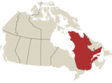 Detailansicht