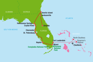 Florida Sunshine Special 8