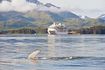 8 Tage Alaska Kreuzfahrt