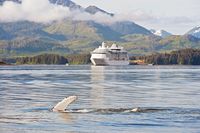 8 Tage Alaska Kreuzfahrt