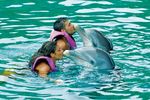 Unexso-Dolphin-Experience/Grand Bahama