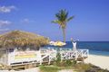 Das ist Urlaubsfreude auf Grand Bahama