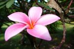 Hawaii - Aloha Island Hopping 2