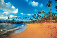 Explore Maui