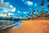 Explore Maui