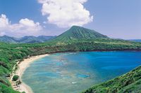 Spirit of Aloha