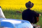 Autoreisen Alberta
