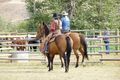 Cowboys in Alberta