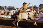 Calgary Stampede