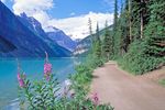 Von den Rockies bis zum Regenwald
