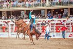 Calgary Stampede