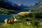 Städtereisen Kanada: Calagry Landschaft um Calgary