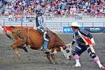 Calgary Stampede