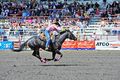 Calgary Stampede