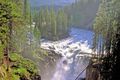 Ausblick auf die Sunwapta Falls