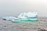 Eisberge in Atlantik-Kanada