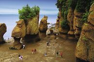 Hopewell Rocks bei Ebbe New Brunswick: Hopewell Rocks bei Ebbe