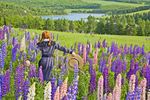 Blumenwiese Prince Edward Island