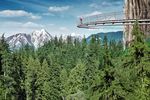 Capilano Suspension Bridge