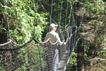 Tree Trek Canopy Walk (Whistler)