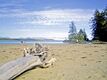Strand bei Tofino