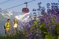 Sommer-Paket Whistler