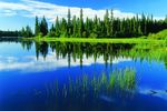 Little Limestone Lake